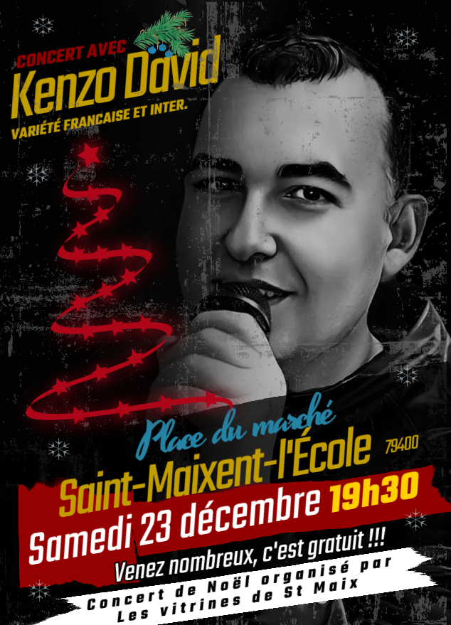 Kenzo David en concert à Saint Maixent l'école